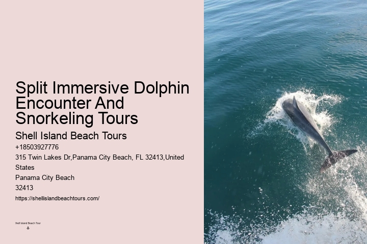 Salty Mary Dolphin And Snorkel Tours Reviews