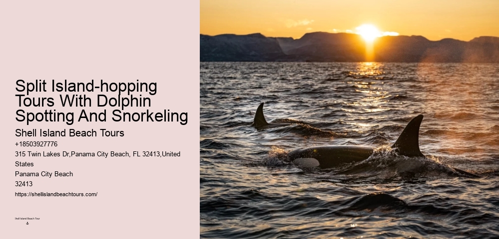 Dolphin Tales: Dolphin Mating Habits