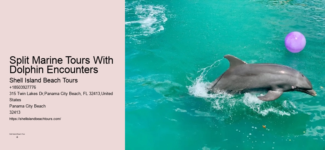 Private Dolphin Tours Panama City Beach