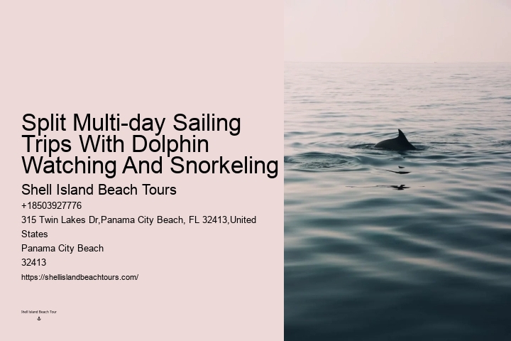 Split Unforgettable Dolphin And Snorkeling Adventures