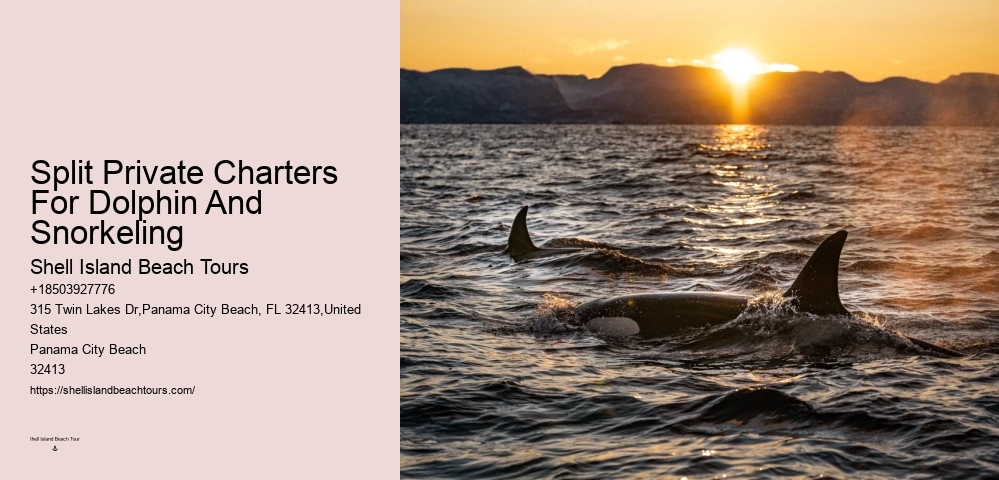 Split Island-hopping Tours With Dolphin Spotting And Snorkeling