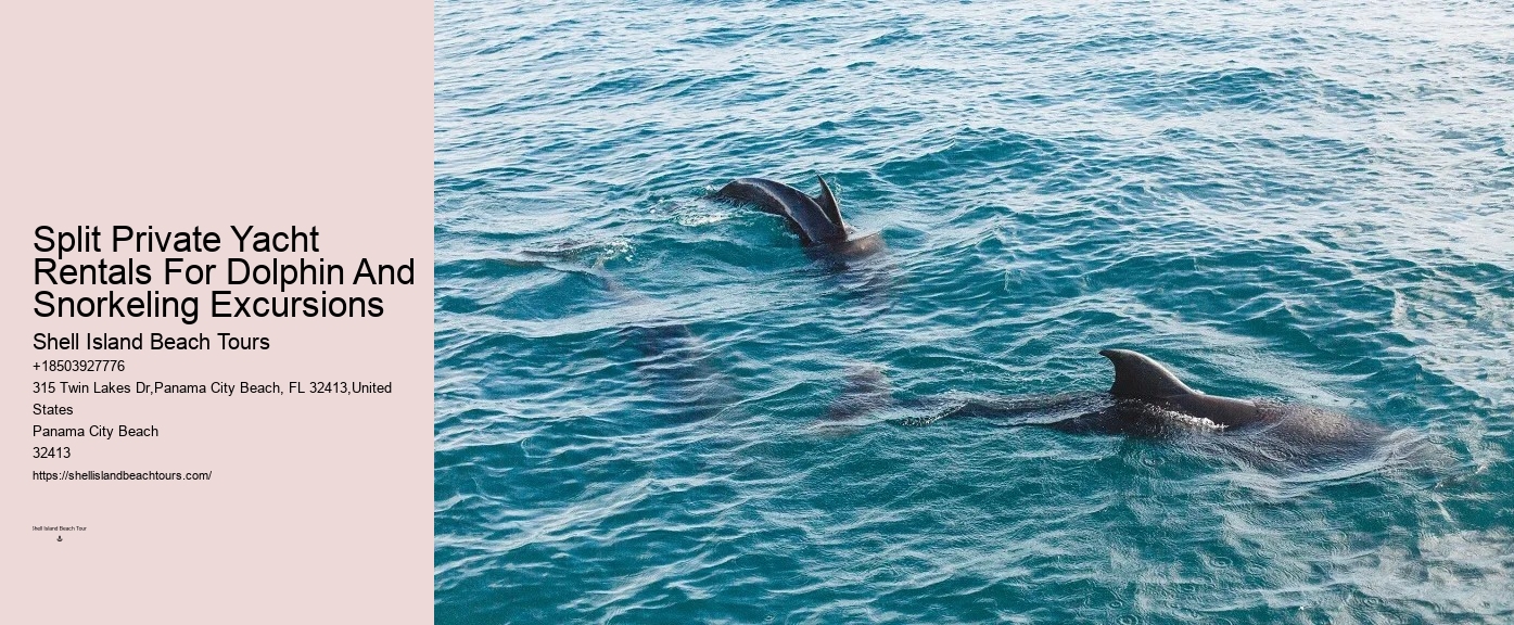 Deluxe Dolphin Discovery and Snorkeling Adventures