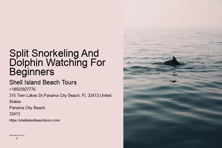 Why You Should Not Swim With Dolphins