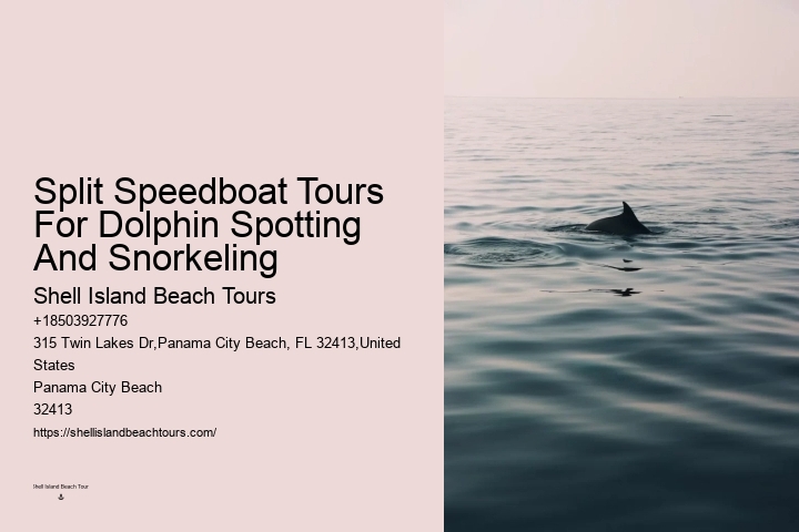 Panama City Beach Dolphin Jet Ski Tours