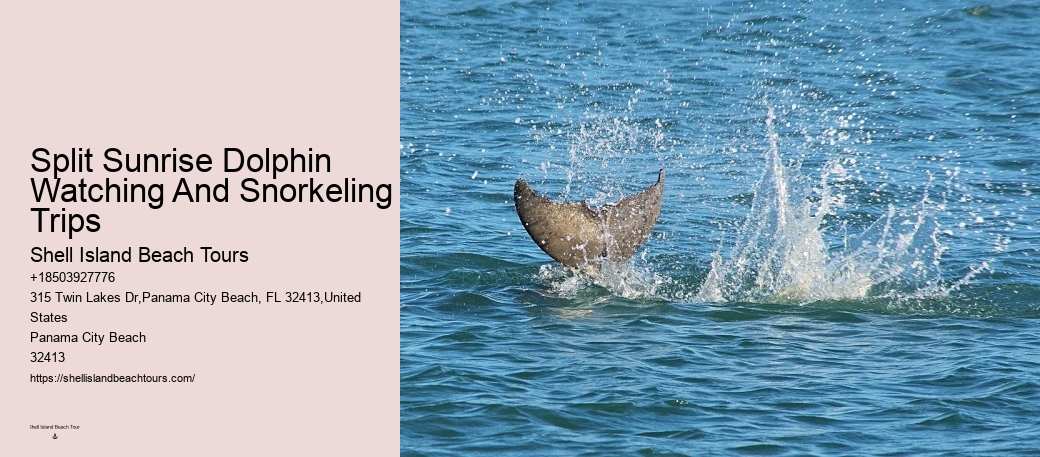 Is It True That Dolphins Use 20% Of Their Brain.