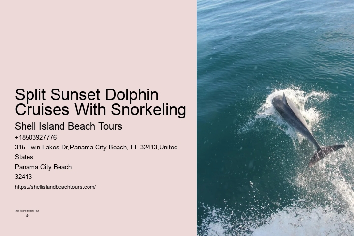 Split Customizable Dolphin And Snorkeling Packages