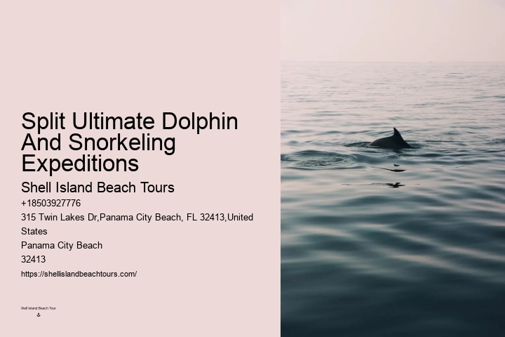 Are there any hidden fees associated with the dolphin tours