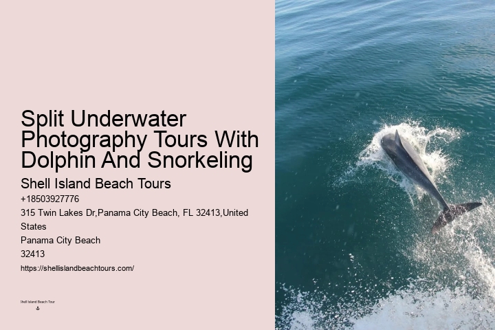 Rudee Dolphin Tours Reviews