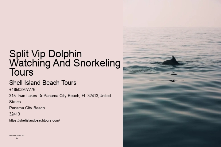 Private Dolphin And Snorkeling Tours