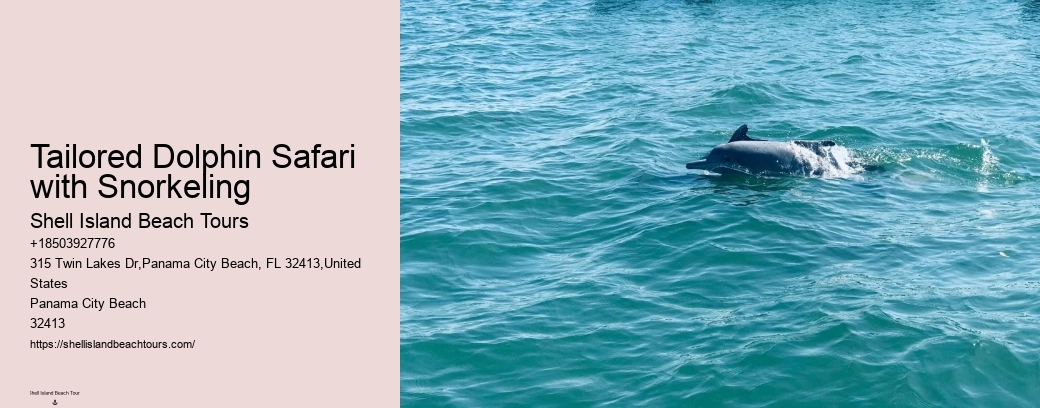 Tailored Dolphin Safari with Snorkeling