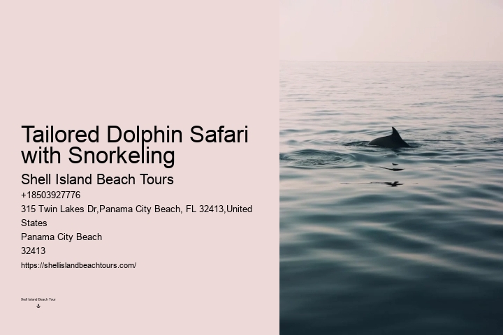 VIP Dolphin Encounter with Snorkeling