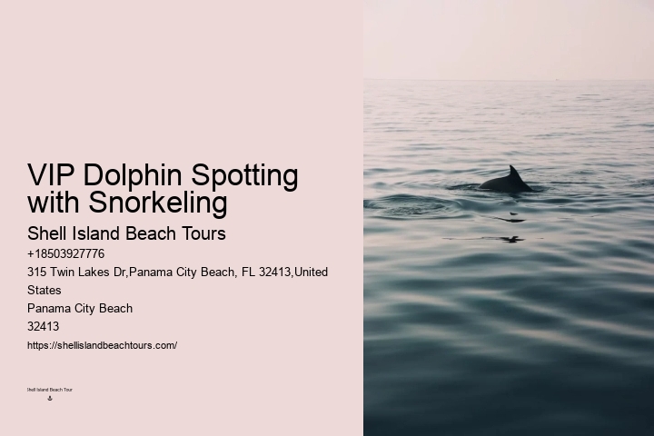 Sunset Dolphin Cruise Panama City Beach