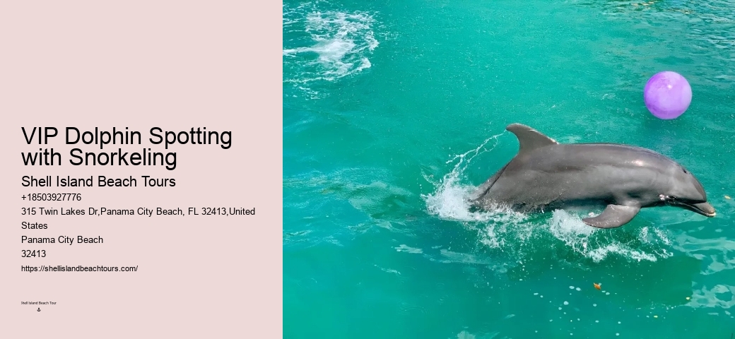 Tailored Dolphin Safari with Snorkeling