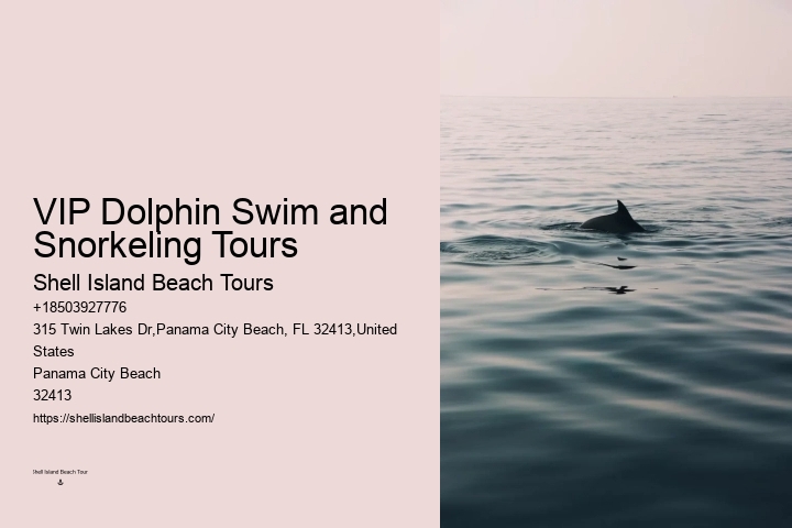 Panama City Beach Shell Island Dolphin Tour